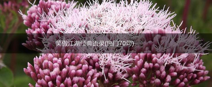 笑傲江湖经典语录(热门70句),第1张