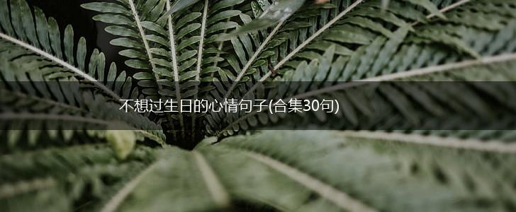 不想过生日的心情句子(合集30句),第1张