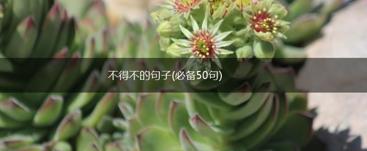 不得不的句子(必备50句),第1张
