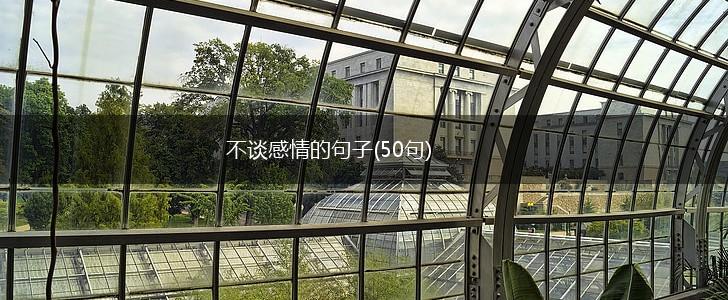 不谈感情的句子(50句),第1张