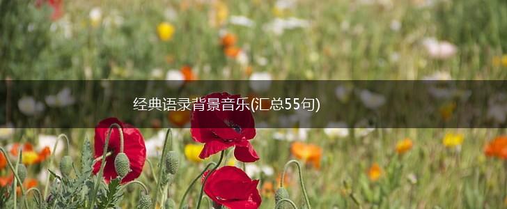 经典语录背景音乐(汇总55句),第1张