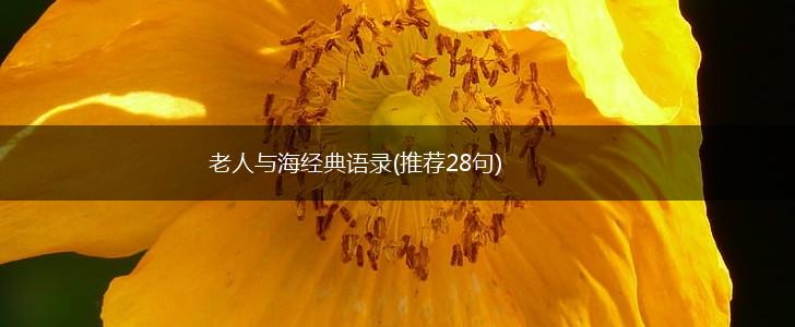 老人与海经典语录(推荐28句),第1张