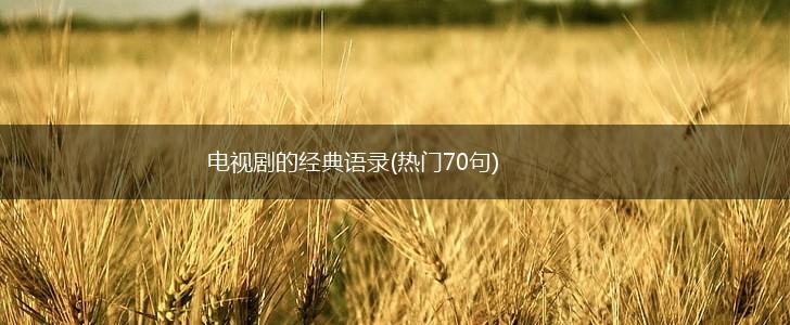 电视剧的经典语录(热门70句),第1张