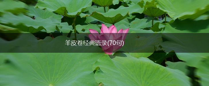 羊皮卷经典语录(70句),第1张