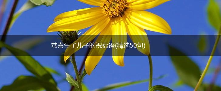 恭喜生了儿子的祝福语(精选50句),第1张