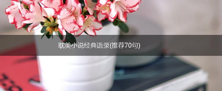 耽美小说经典语录(推荐70句),第1张