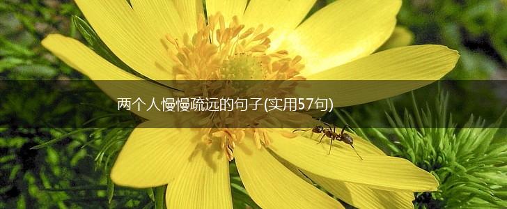 两个人慢慢疏远的句子(实用57句),第1张