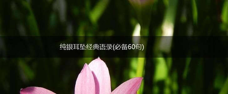 纯银耳坠经典语录(必备60句),第1张