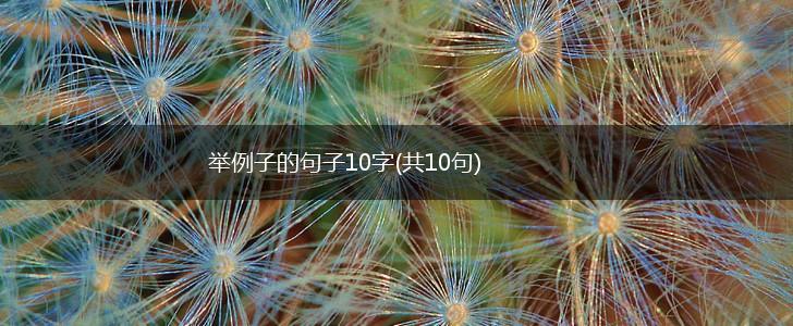 举例子的句子10字(共10句),第1张
