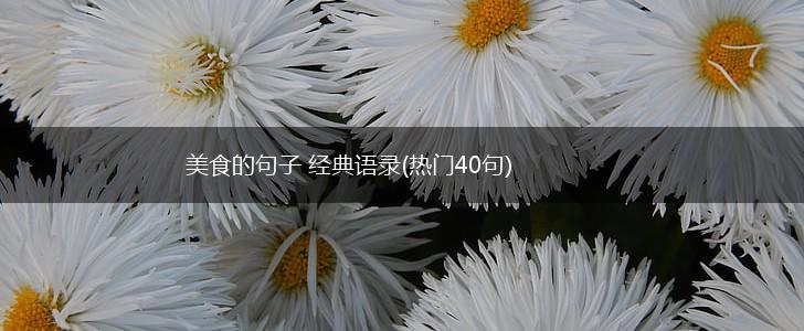 美食的句子 经典语录(热门40句),第1张