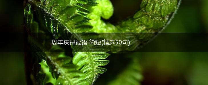 周年庆祝福语 简短(精选50句),第1张