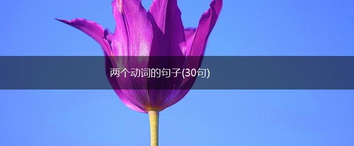 两个动词的句子(30句),第1张