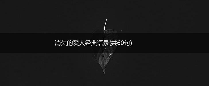 消失的爱人经典语录(共60句),第1张