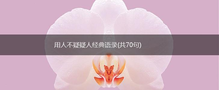 用人不疑疑人经典语录(共70句),第1张