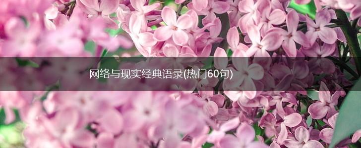 网络与现实经典语录(热门60句),第1张