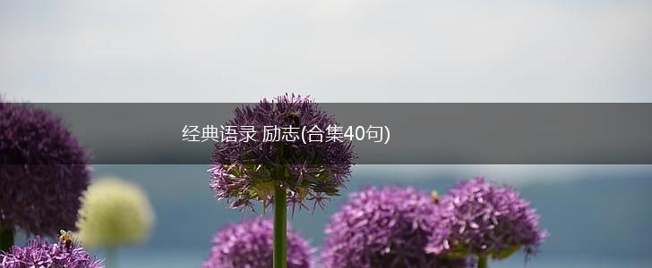 经典语录 励志(合集40句),第1张