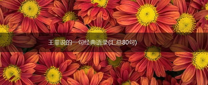 王菲说的一句经典语录(汇总80句),第1张