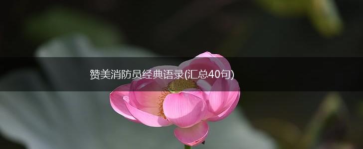 赞美消防员经典语录(汇总40句),第1张