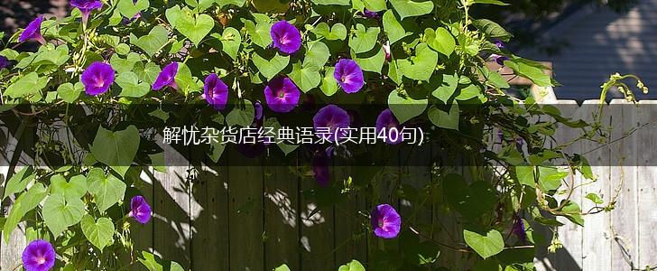 解忧杂货店经典语录(实用40句),第1张 解忧杂货店经典语录(实用40句),第1张