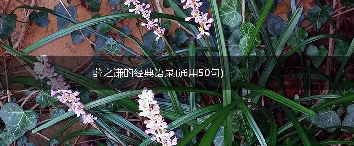 薛之谦的经典语录(通用50句),第1张