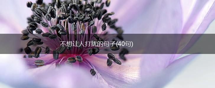 不想让人打扰的句子(40句),第1张