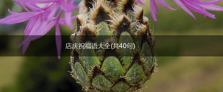 店庆祝福语大全(共40句),第1张