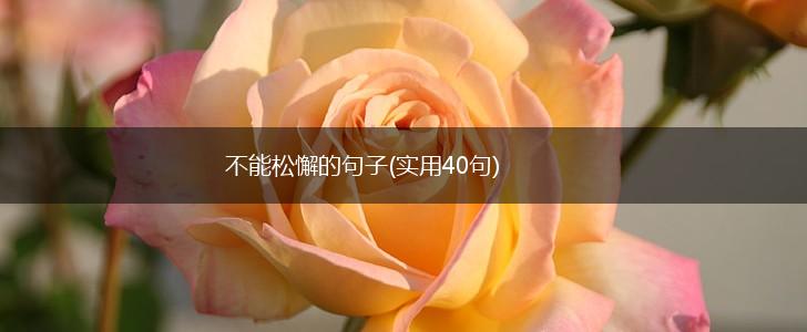 不能松懈的句子(实用40句),第1张