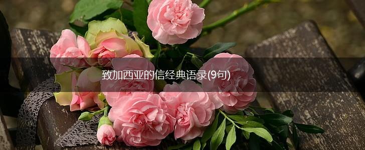 致加西亚的信经典语录(9句),第1张