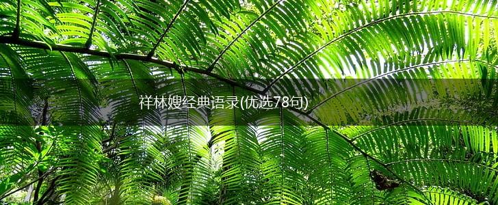 祥林嫂经典语录(优选78句),第1张