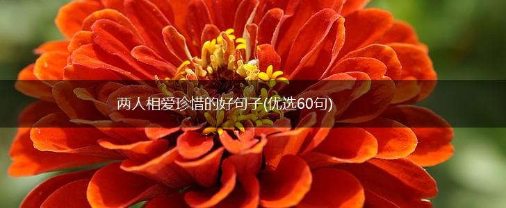 两人相爱珍惜的好句子(优选60句),第1张