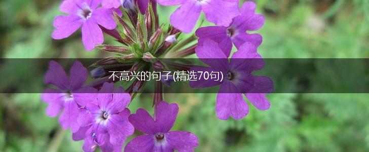 不高兴的句子(精选70句),第1张