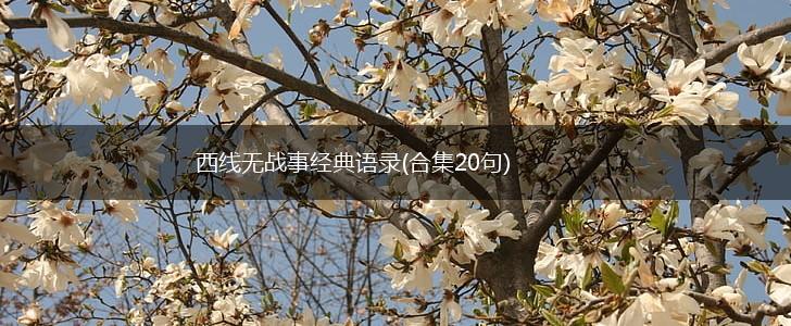 西线无战事经典语录(合集20句),第1张