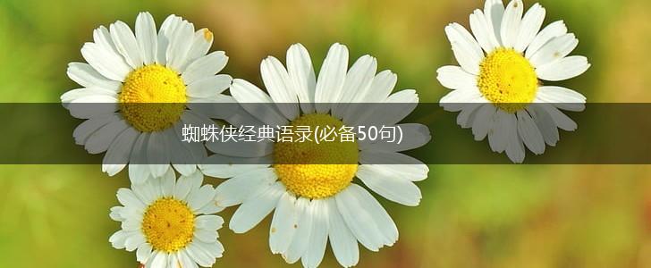 蜘蛛侠经典语录(必备50句),第1张