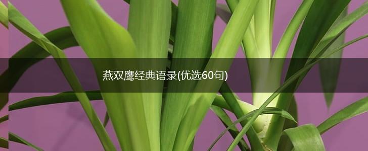 燕双鹰经典语录(优选60句),第1张