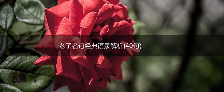 老子名句经典语录解析(40句),第1张