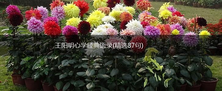 王阳明心学经典语录(精选87句),第1张