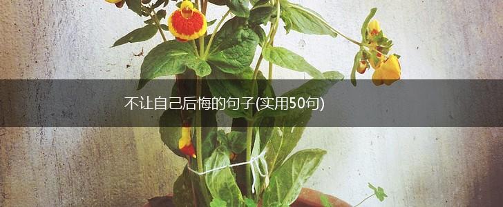 不让自己后悔的句子(实用50句),第1张
