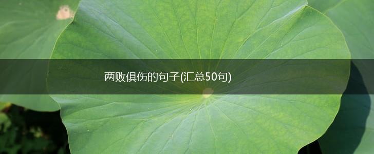 两败俱伤的句子(汇总50句),第1张