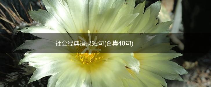社会经典语录短句(合集40句),第1张