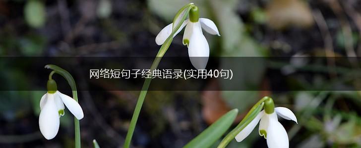 网络短句子经典语录(实用40句),第1张