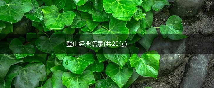 登山经典语录(共20句),第1张