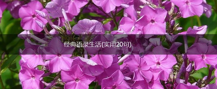 经典语录生活(实用20句),第1张