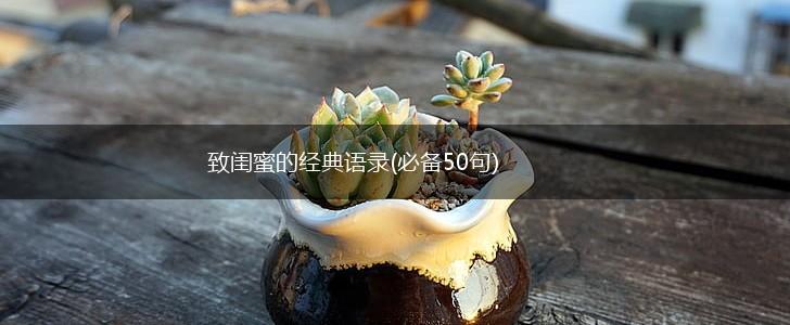 致闺蜜的经典语录(必备50句),第1张