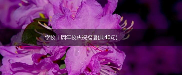 学校十周年校庆祝福语(共40句),第1张