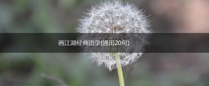 画江湖经典语录(通用20句),第1张