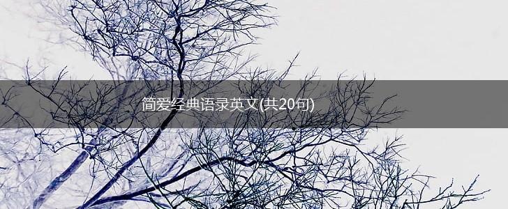 简爱经典语录英文(共20句),第1张 简爱经典语录英文(共20句),第1张