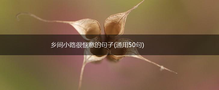 乡间小路很惬意的句子(通用50句),第1张