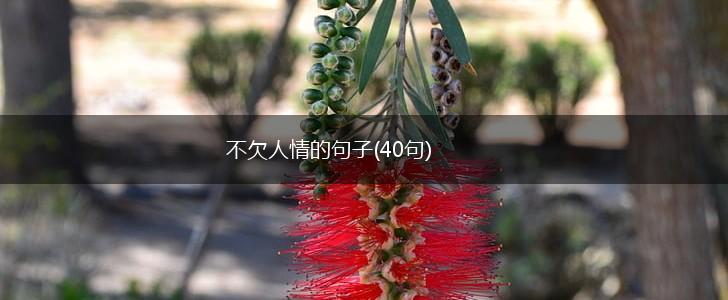 不欠人情的句子(40句),第1张
