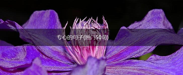 专心的句子(热门50句),第1张