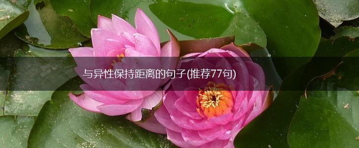 与异性保持距离的句子(推荐77句),第1张